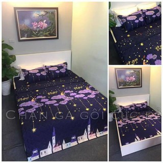 Bộ drap giường cotton lụa cao cấp sao rơi (chọn mẫu)