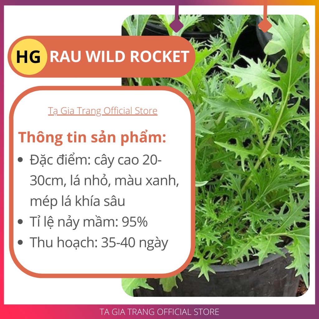 Hạt giống rau Wild Rocket Gói 1gr