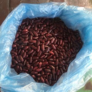 1kg đậu đỏ hạt to