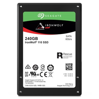 Ổ cứng SSD Seagate IronWolf 110 240Gb ZA240NM10011