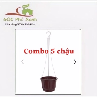 Combo 5 chậu treo trồng hoa size 22cm