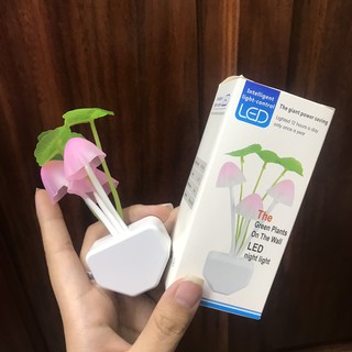 ĐÈN NGỦ HÌNH NẤM CẢM ỨNG NHIỀU MÀU