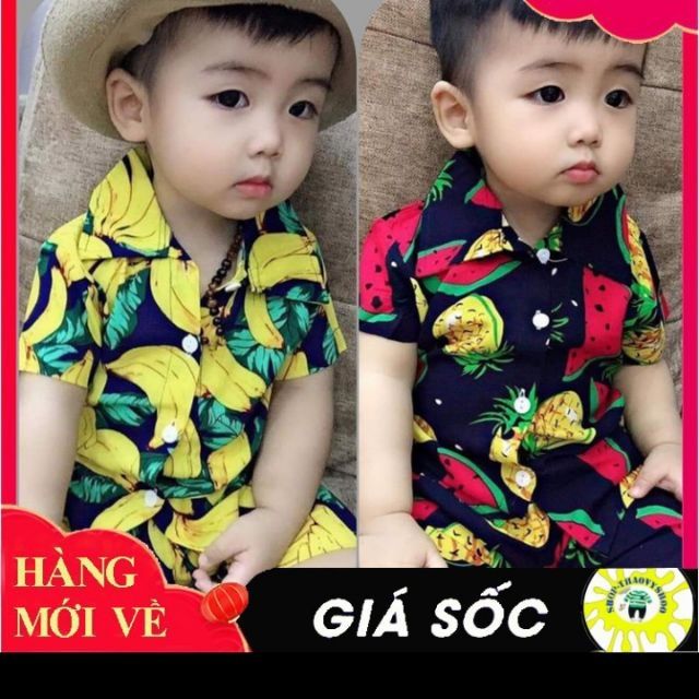 Bộ lạn hoa quả cho bé