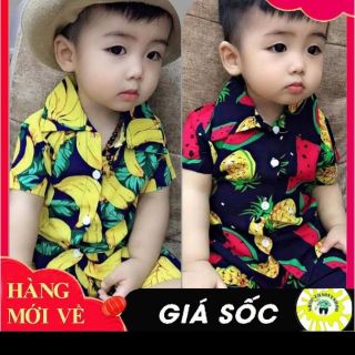 Bộ lạn hoa quả cho bé
