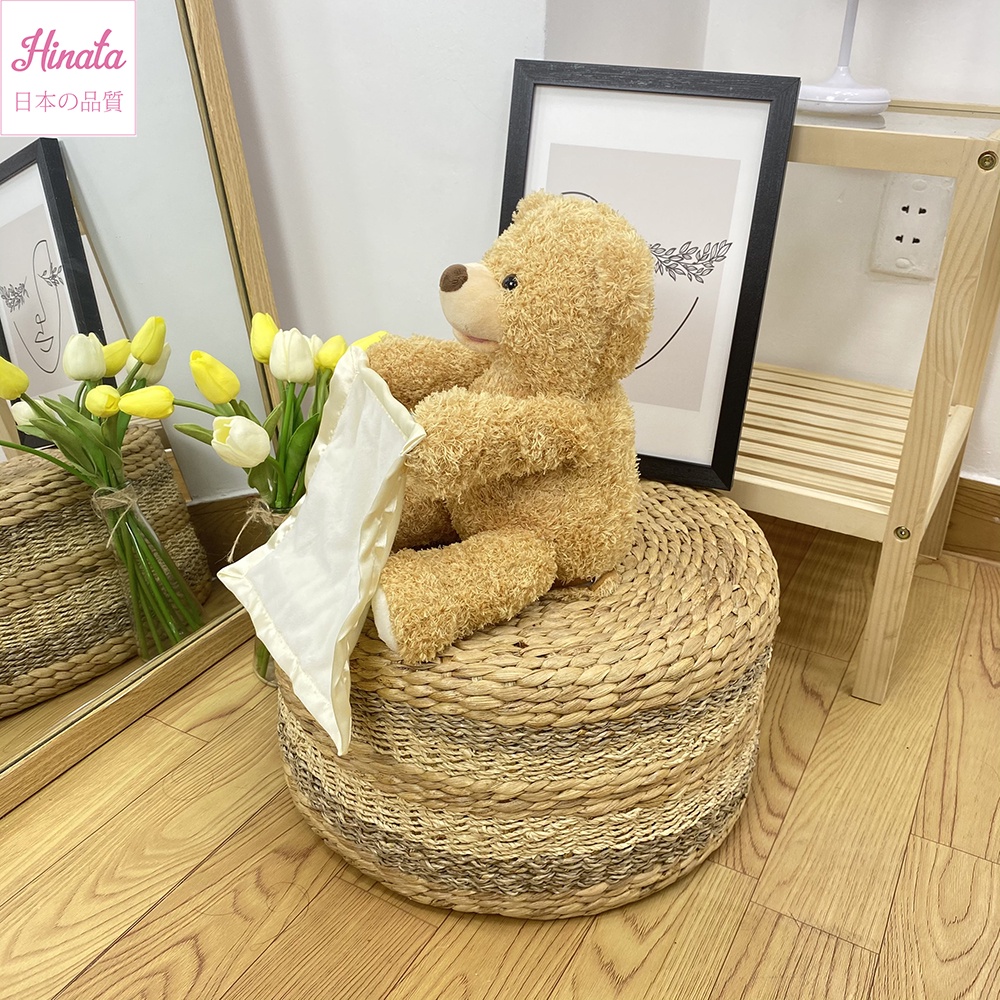Đồ chơi gấu Peekaboo HINATA - Tiếng Anh thông minh TLEN15