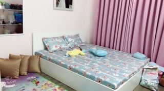 Bộ ga và vỏ gối cotton lụa hàn alnena