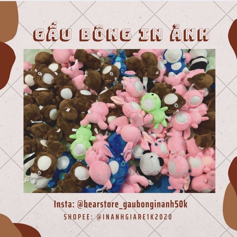 [SỈ GẤU BÔNG IN ẢNH] - Từ 10 Gấu