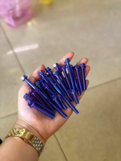 Ốc lốc máy đầu PROBOLT ( titan GR5)