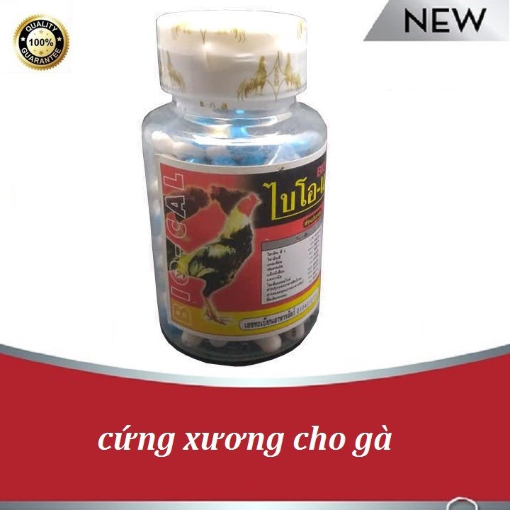 BỔ XƯƠNG BIO 1 HỘP 100 VIÊN - Thuốc Gà Đá