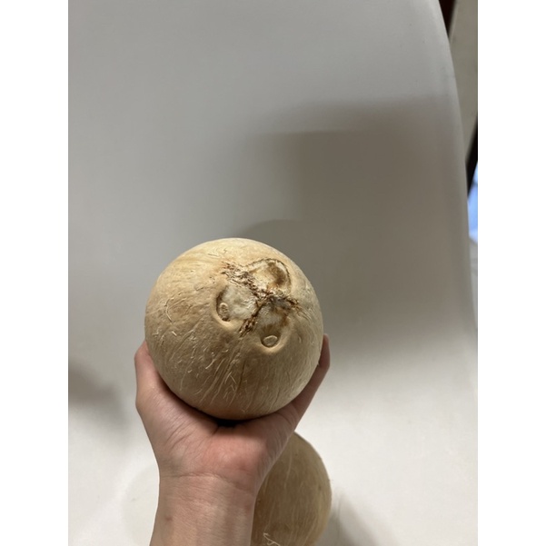 Dừa xiêm trọc trái to size 400-550g
