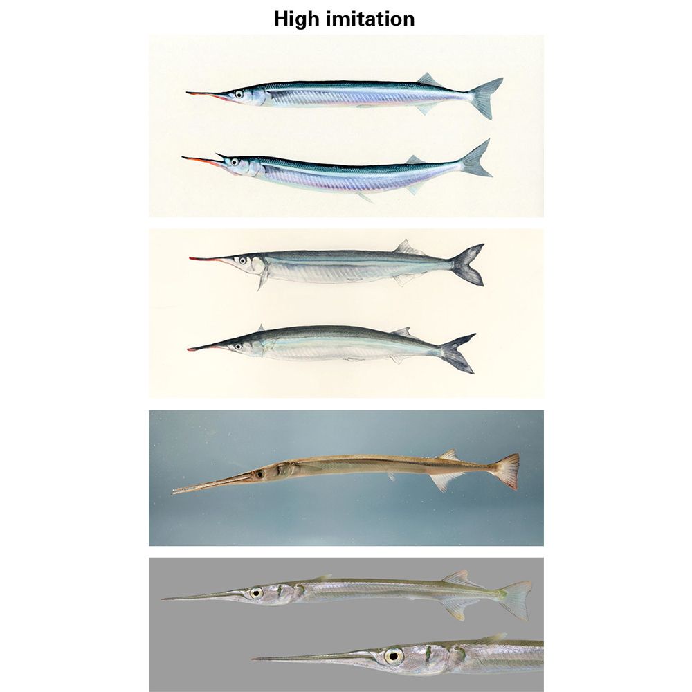 Mồi Giả Câu Cá 3D 182mm 54g 2021