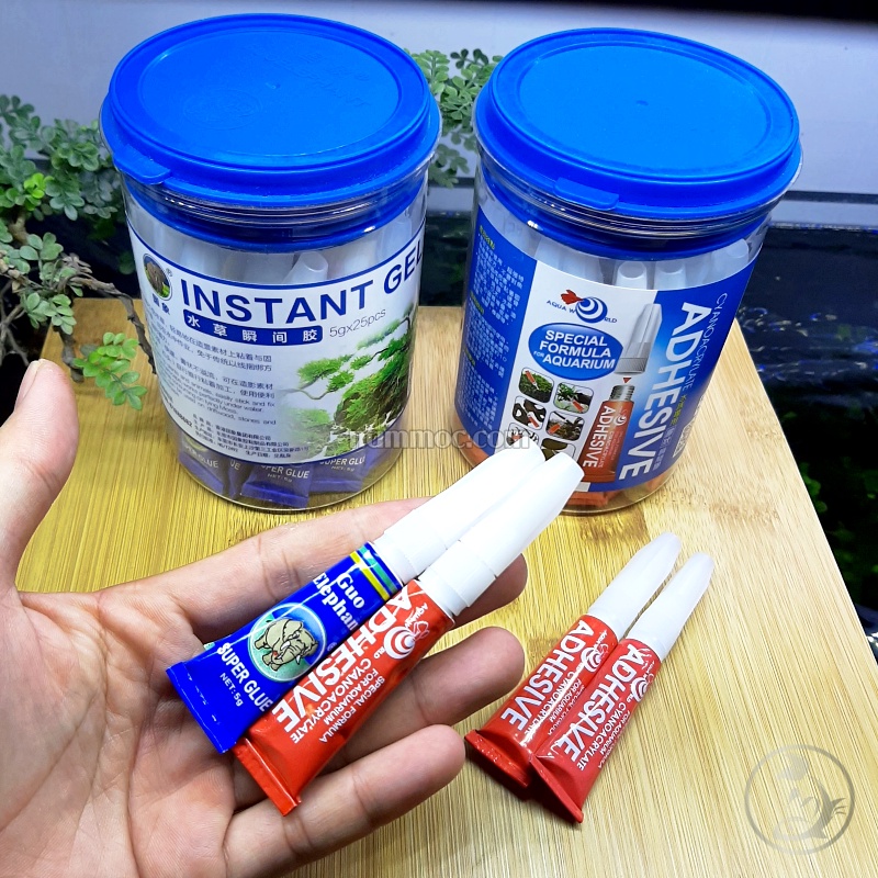 Keo Dán Rêu - Keo dán cây thuỷ sinh