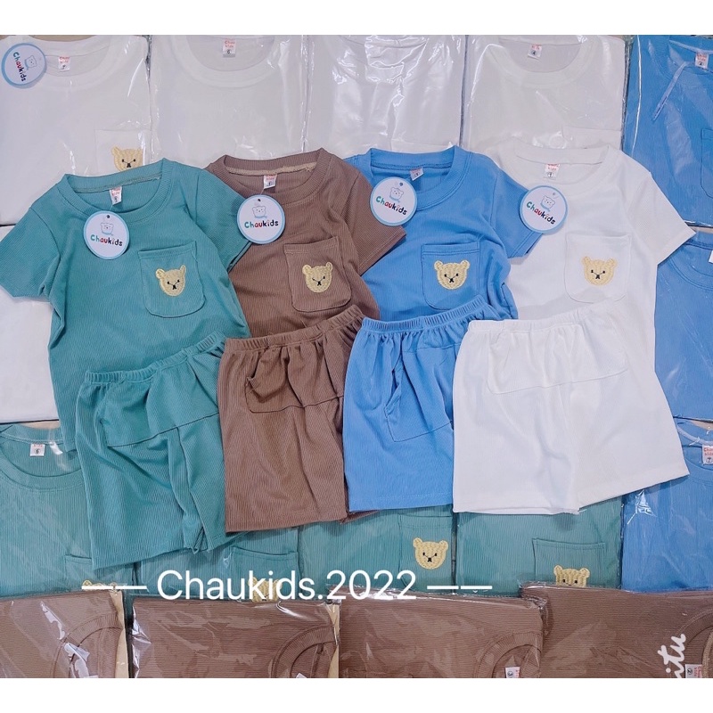 Bộ tăm gấu ngắn tay cho bé