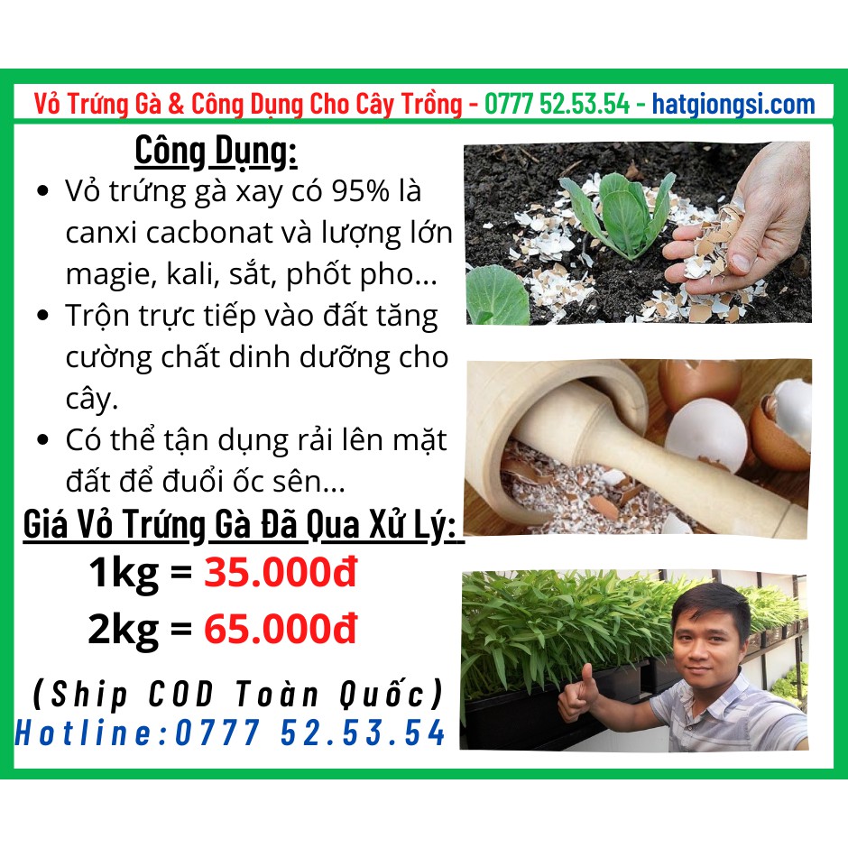 Túi 1kg Vỏ trứng gà đã xử lý bón cây bổ sung canxi chống rụng hoa, nứt quả, phòng trừ ốc sên