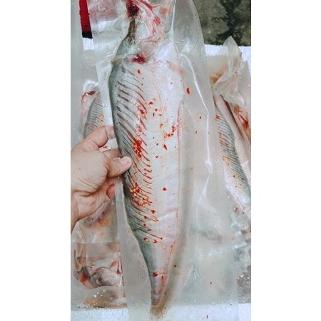 1 KÍ 4 CON🐠🐠CÁ THÁC LÁC RÚT XƯƠNG 🐠🐠 GIAO HỎA TỐC HCM