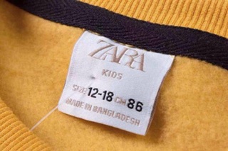 Set bộ zara mèo vàng