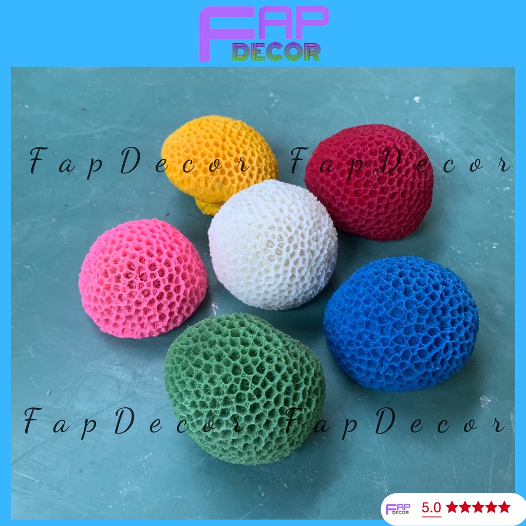 SAN HÔ BÁNH BAO PHONG THỦY PHỐI NHIỀU MÀU SIÊU ĐẸP TRANG TRÍ BỂ CÁ TIỂU CẢNH THỦY SINH - FAPDECOR