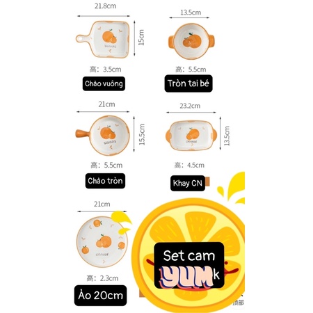 Bát Đĩa Sứ Decor Chén Dĩa Hoạ Tiết Quả Cam Gốm Sứ Cao Cấp Phong Cách Bắc Âu