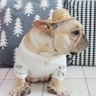 Nón Cối Dã Ngoại Thú Cưng