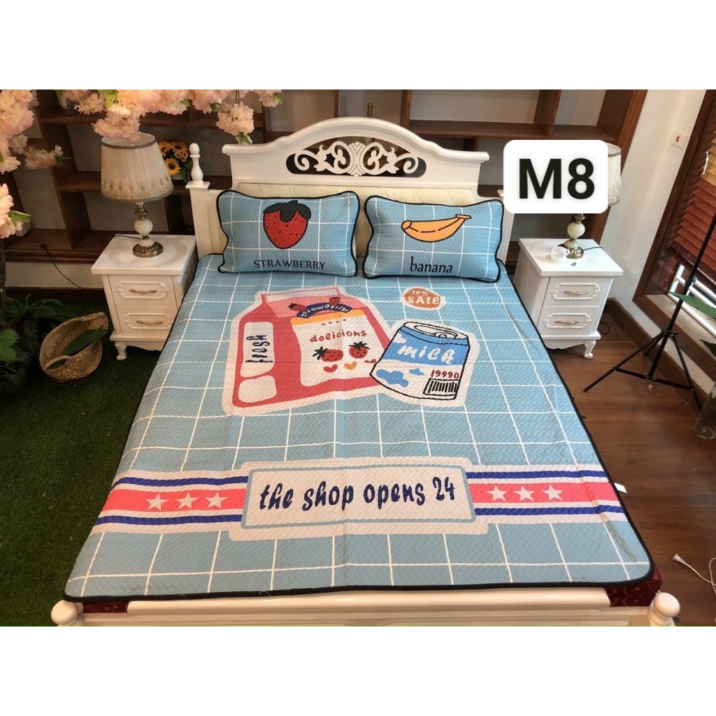 Xả mẫu Chiếu Điều Hoà TENCEL/LỤA size m8*2m kèm 2 vỏ gối nằm + Túi đựng -&gt; GIÁ CHỈ 399k