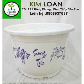 Combo 4 chậu nhựa tròn Cát tường 35x24cm