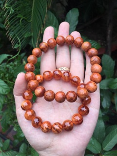 Vòng gỗ huyết rồng( huyết long)