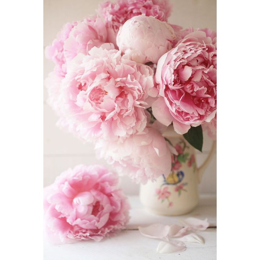 K119 - Khuôn Kim Loại Cắt Hoa Mẫu Đơn