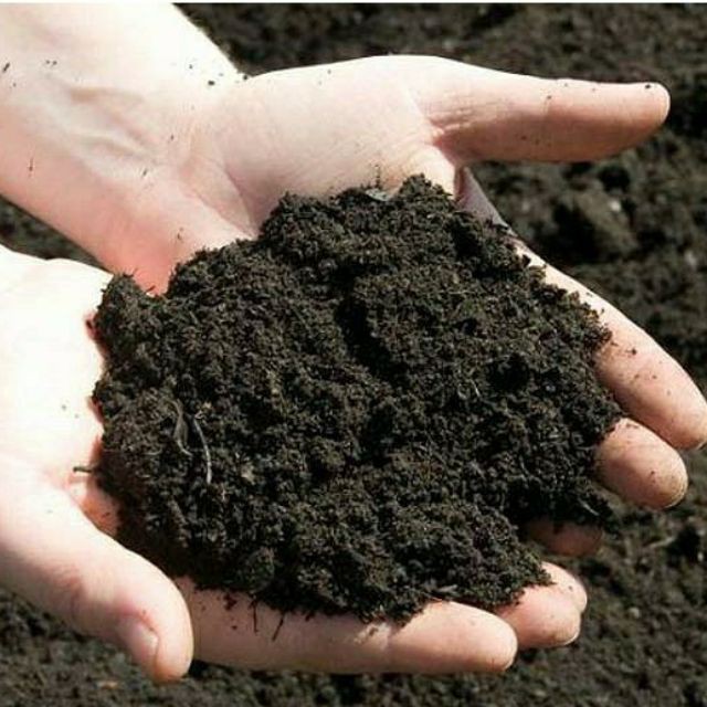 1kg đất sạch trồng cây