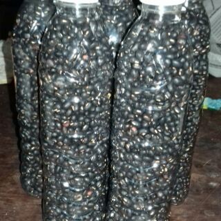 1kg Trà đậu đen xanh lòng