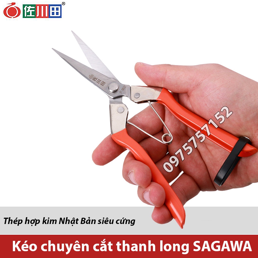 Kéo cắt thanh long cao cấp thép Nhật SAGAWA 213mm, kéo tỉa lá tỉa dăm, cắt chi dăm, tỉa nhánh, cắt tỉa hoa chuyên nghiệp