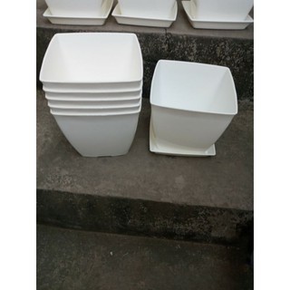 Chậu trắng vuông kèm đĩa giá tốt đường kính 16cm