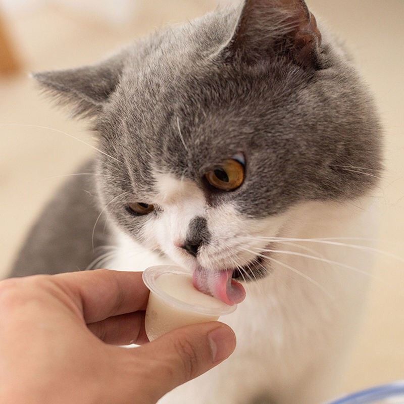 THẠCH VỊ SỮA DÊ CHO MÈO