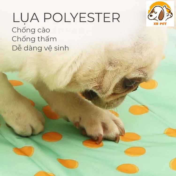 Đệm Nước Mùa Hè Làm Mát Cho Chó Mèo - Thảm Gel Lạnh Chống Nóng Cho Chó Mèo Dễ Vệ Sinh Sạch Sẽ