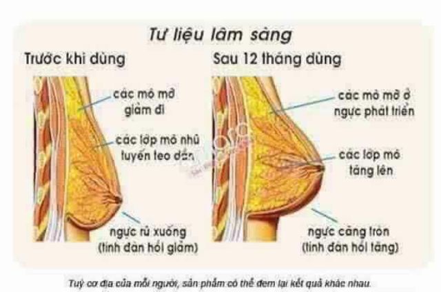 Bột Mầm Đậu Nành handmade Phương Uyên 100% Nguyên Liệu Hữu Cơ. Đã Kiểm Định Chất Lượng An Toàn Cho Sức Khỏe