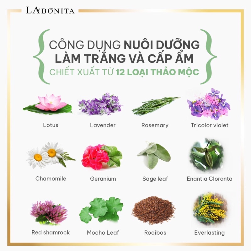 Kem dưỡng sáng da và nâng tone da - LA BONITA Brightening Tone-Up Cream 40ml