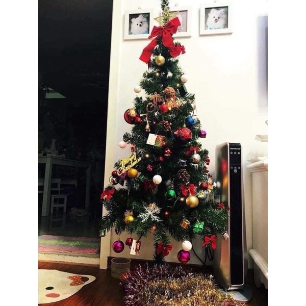 [FREESHIP] CÂY THÔNG ĐẾ SẮT CAO 1M5