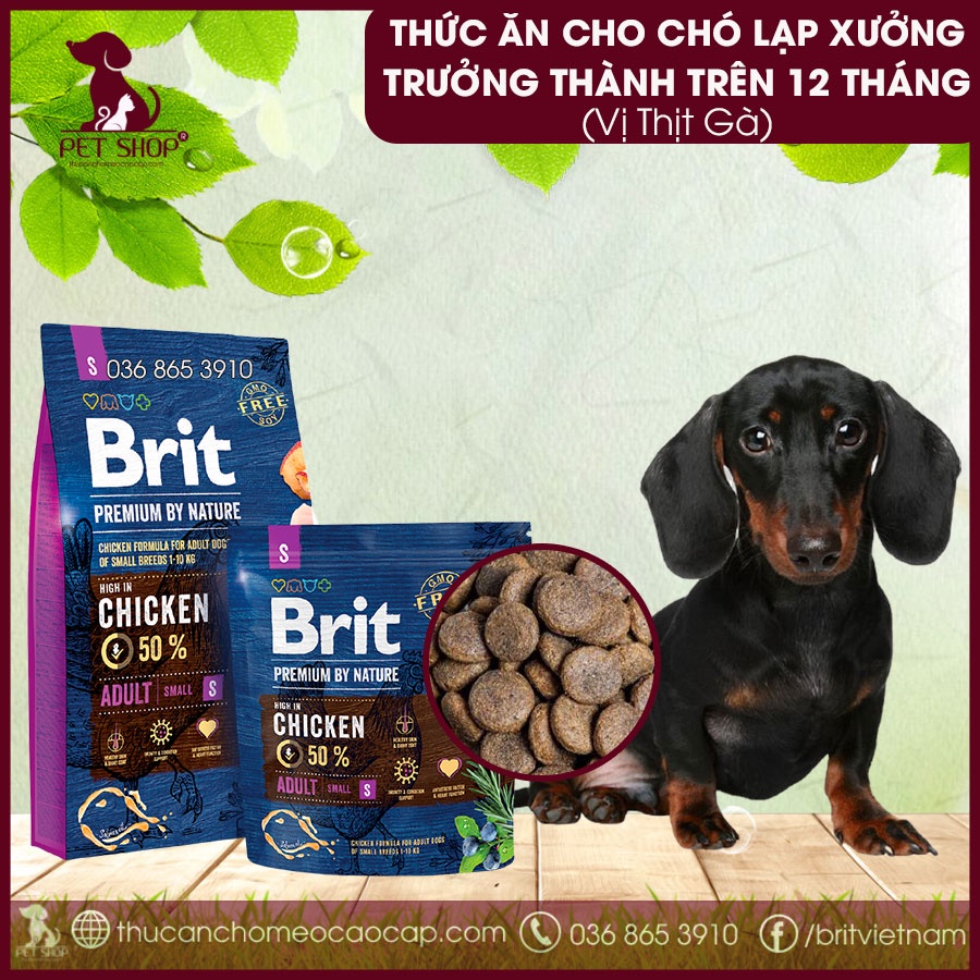 Thức Ăn Cho Chó Lạp Xưởng Trưởng Thành Trên 12 Tháng - Brit Premium by Nature Adult S