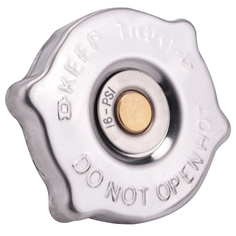 Nắp Tản Nhiệt 55116901Aa 52079880Aa 05278697Aa 3781830 Cho Chrysler Dodge Jeep