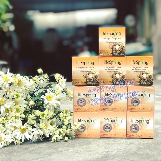 Kem cừu Lifespring Collagen Q10 Plus