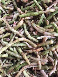 1KG RỄ TỨN KHỬN TƯƠI