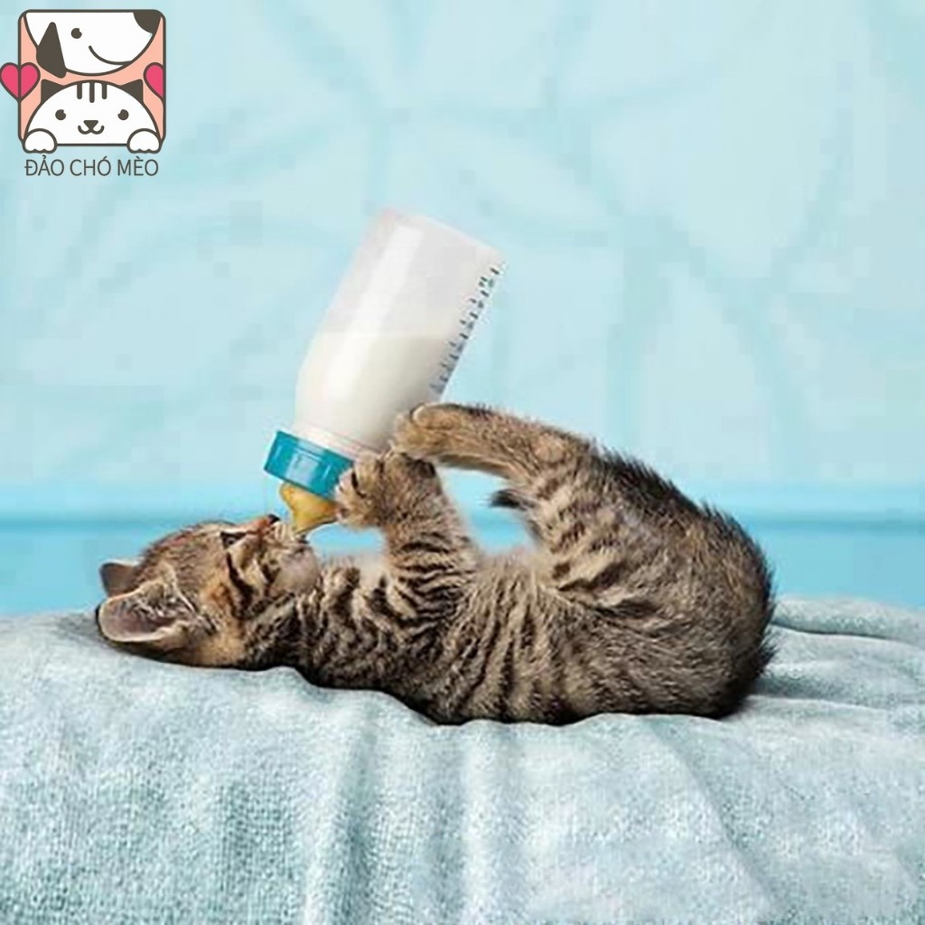Bình sữa chó mèo nhỏ loại đẹp cho chó mèo chai 60ml vạch đỏ - Đảo Chó Mèo