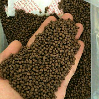 Cám cá koi cá cảnh new 5kg