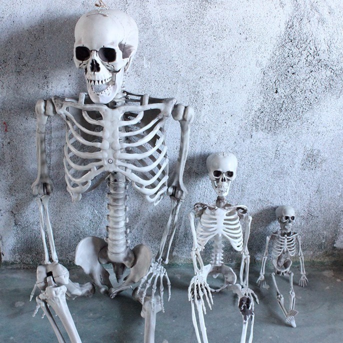 Bộ Mô Hình Bộ Xương Người Trang Trí Phòng Thoát Hiểm Hóa Trang Halloween