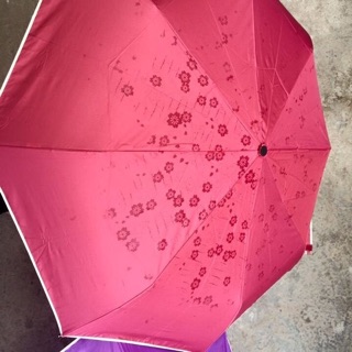 Ô gặp nước nở hoa