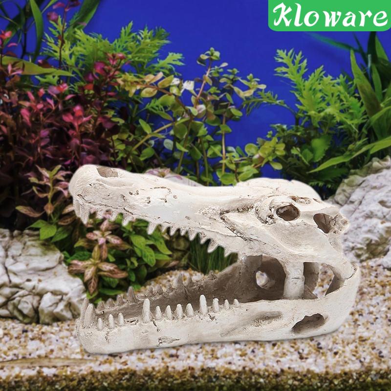 Tượng Cá Sấu Trốn Tìm Trong Bể Nuôi Bò Sát