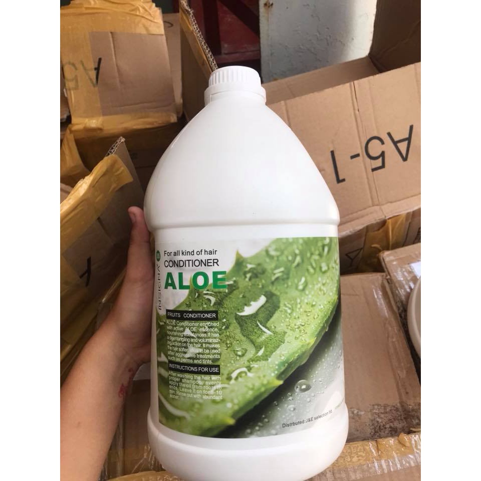 Dầu xả chuyên nghiệp cho salon INSIGNA FRUITS CONDITIONER 4000ml