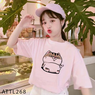 ÁO THUN TAY LỠ IN HÌNH MÈO AMI BỤNG BỰ CỰC HOT - ATTL268