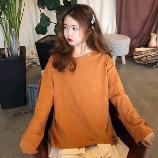 Combo áo Phan Thùy Linh