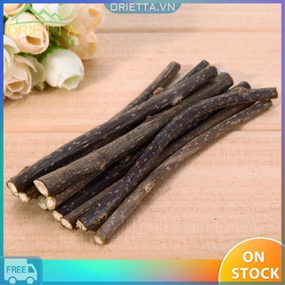 Bộ 10 cây bạc hà tự nhiên dùng để vệ sinh răng cho mèo