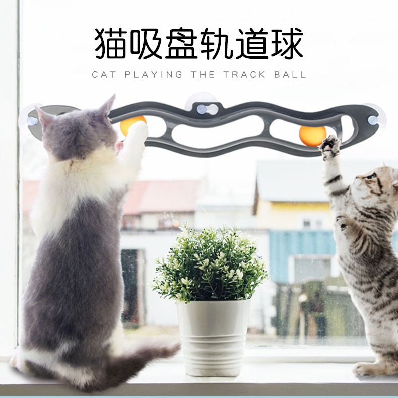 Đồ Chơi Gắn Tường / Cửa Sổ Mài Móng Cho Mèo